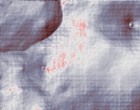 erotisch film online